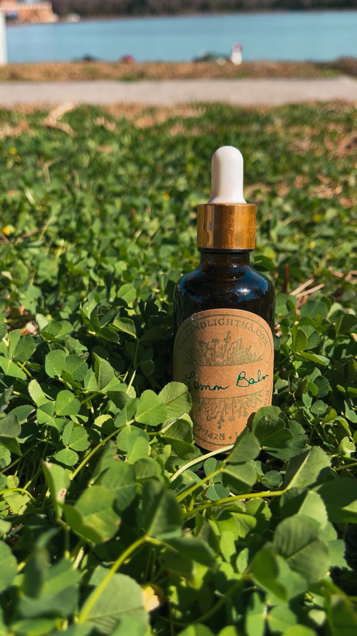 Lemon Balm Tincture