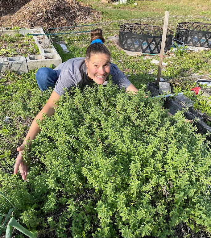 Person in a garden with plants and garden beds in the background