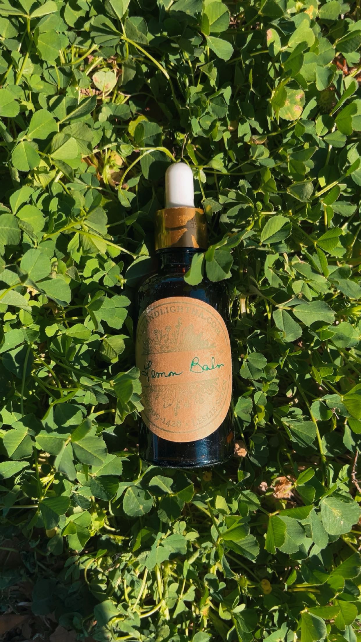 Bottle of lemon balm with a label on a bed of green leaves 