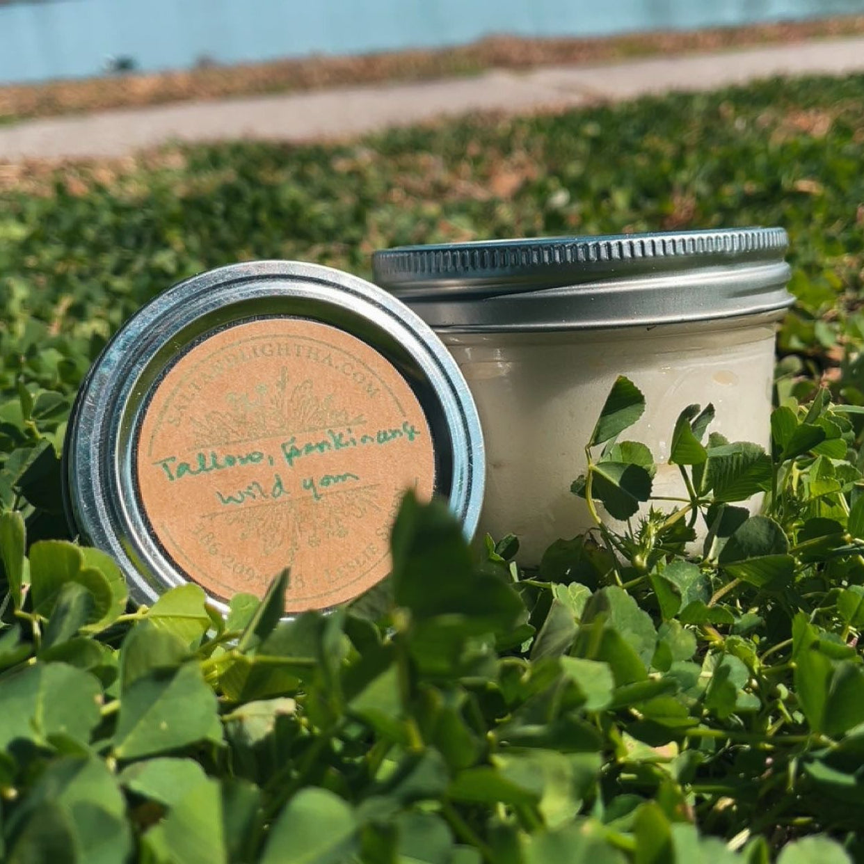 Tallow Lotion on grass